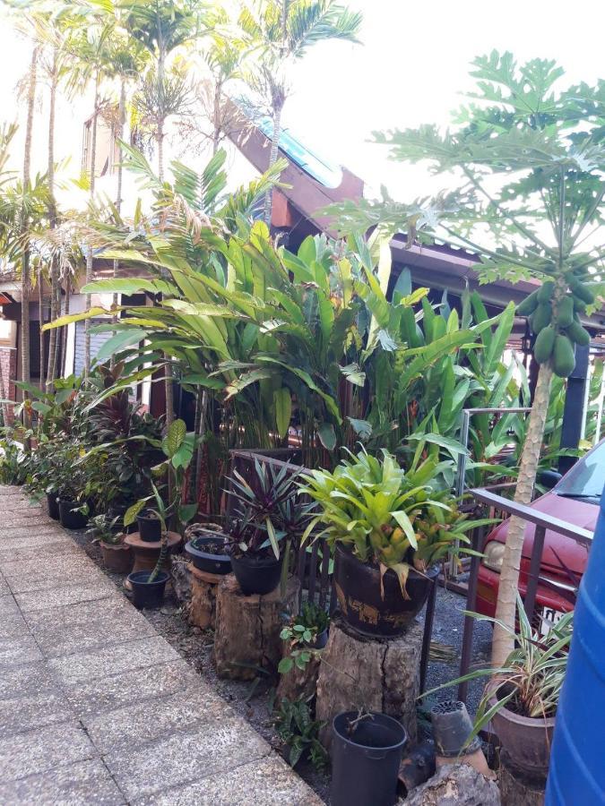 Thalassa Nai Harn Luaran gambar